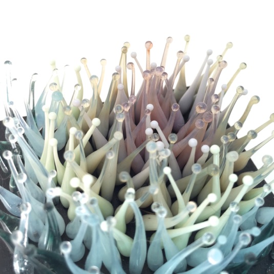 Floor Kaspers, Formation 6, 2016