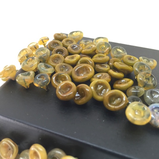 Floor Kaspers, Lichen 2, 2016