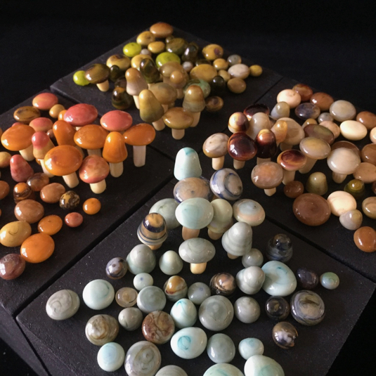 Floor Kaspers, Mushrooms, 2019